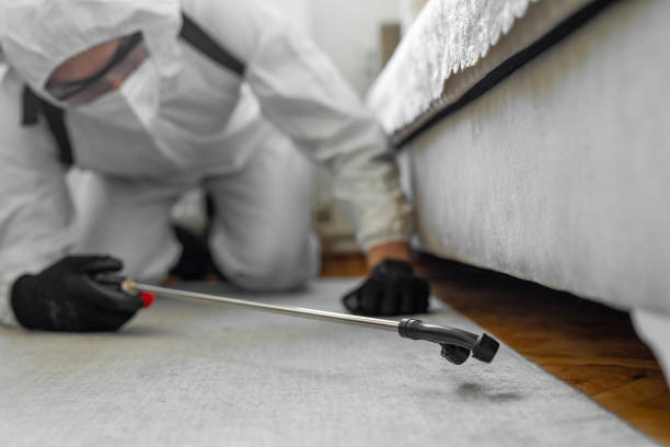 Professional Bed Bug Control technician working in Caseyville, IL